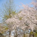 구상나무 화장실 이미지