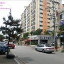 활천로 이미지