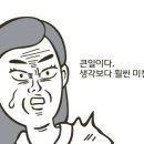 문화주 이미지