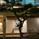 송정강변로 이미지