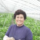 외길농장 이미지