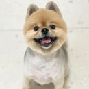 풍남미용실 네이버블로그