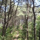 백양 관광호텔 이미지