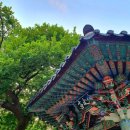 코리게스트하우스 | 군산 여행 숙소 후기(게스트하우스 무아 싱글룸 요천방)