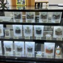 댕댕이수라상 이미지