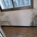 황실크리닝 이미지