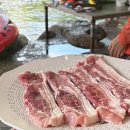산꾼의집 | 진주근교 지리산중산리계곡 산청산꾼의집 백숙 평상대여 내돈내산 후기