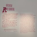 펑키트래블 이미지