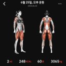 지금부터핏 오류점 이미지