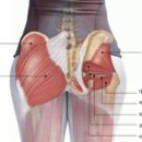 명지헬스 이미지