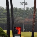 새벽마을홍삼 | 솔모로CC 라운딩 후기｜소나무 멋진 코스 + 평일 그린피 8만원