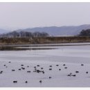 들성생태공원 이미지