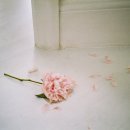 장고행정사 이미지