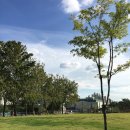 모텔레몬트리 이미지