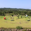 셰프라인 월드 이미지