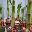 반려식물 원예아트 | 추천 / 원예아트 /도우아트부스체험/ 부산도우아트출강 /원예아트테라피/반려식물 개운죽화분 /개운죽...