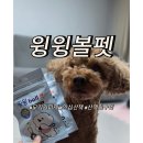 주식회사 펫메이드 | 강아지모기기피제 추천! [윙윙볼] 사용후기