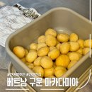 운마 | 마카다미아 추천, 그린홀릭 베트남마카다미아 구운마카다미아 솔직후기