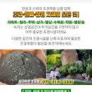 건우조경