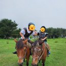 초원카페 브런치