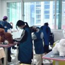 예쁜 애견 미용 이미지