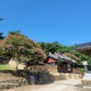 덕천사德川祠 이미지