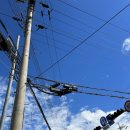 가오리찜무침전문점 이미지