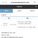 비발디파크스노위랜드 네이버블로그