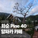 산양키우는 가 | 화순 PINE40 | 광주 근교 아기랑 갈 수 있는 카페 🌲 키즈존 애견 동반 물놀이 알파카 먹이주기 체험