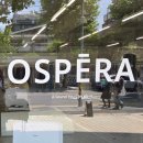 스카프 전문 브랜드 오스페라(OSPERA) 라이커샵 팝업 방문후기