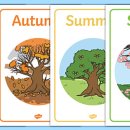 봄여름가을이야기 이미지