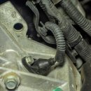 Q 모터스(MOTORS) 이미지