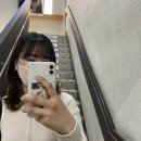 위시나떼 이미지