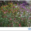 날마다 소풍 이미지