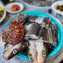 오양짚불곰장어 | 기장 대변항 맛집 추천 착한가격 오양수산장어구이 솔직후기