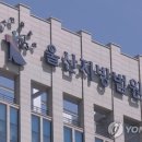 직접 농사지을 것처럼 속여 농지 매입한 부부 공무원 벌금형 이미지