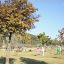 파크골프공원 파크골프장 이미지