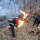 김삿갓면-45 이미지