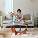 라임이즈 이미지
