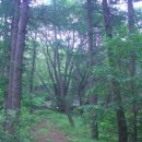 보만정지 이미지