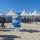 하모리-25 | [제주] 서귀포 최남단 방어축제 후기 | 방어회·튀김·체험까지 한눈에