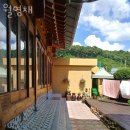 월영채 이미지