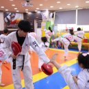 학사태권도장 이미지