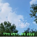 희망곤충농장 이미지