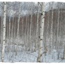 인제17-3 이미지