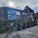 휘바핀란드위드플레이정글 이미지