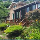 배틀민박 | 동해독채펜션 반려견과 함께한 동해황토민박펜션 최적의 휴식