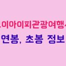 브이아이피여행사 이미지