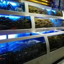 대게나라 앞 이미지