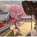 370 | 전국 매화 명소 사찰, 백양사 고불매.화엄사 화엄매.선암사 선암매.통도사 자장매.봉은사 홍매화 2026년...